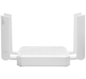 Cellular Adapters